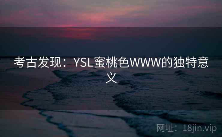 考古发现：YSL蜜桃色WWW的独特意义  第2张