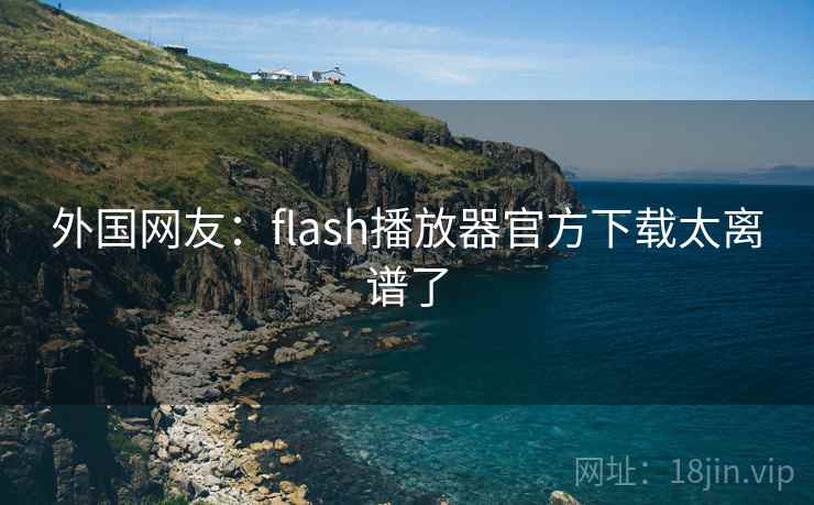外国网友：flash播放器官方下载太离谱了  第2张